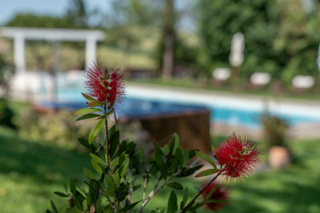 Le Maracla Country House Jesi Exteriör bild